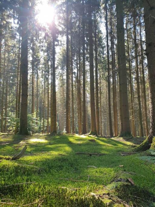 Gite N°4, En Pleine Nature, Frontalier Signy-le-Petit Bagian luar foto
