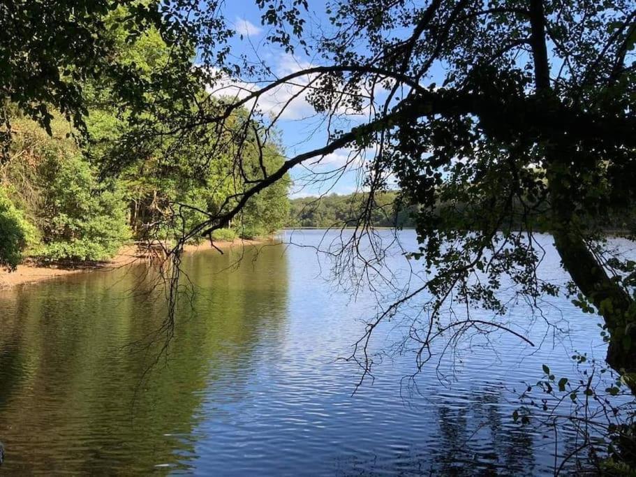 Gite N°4, En Pleine Nature, Frontalier Signy-le-Petit Bagian luar foto